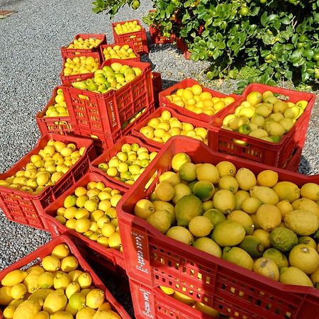 Profumo Di Zagara Acireale Villa Buitenkant foto