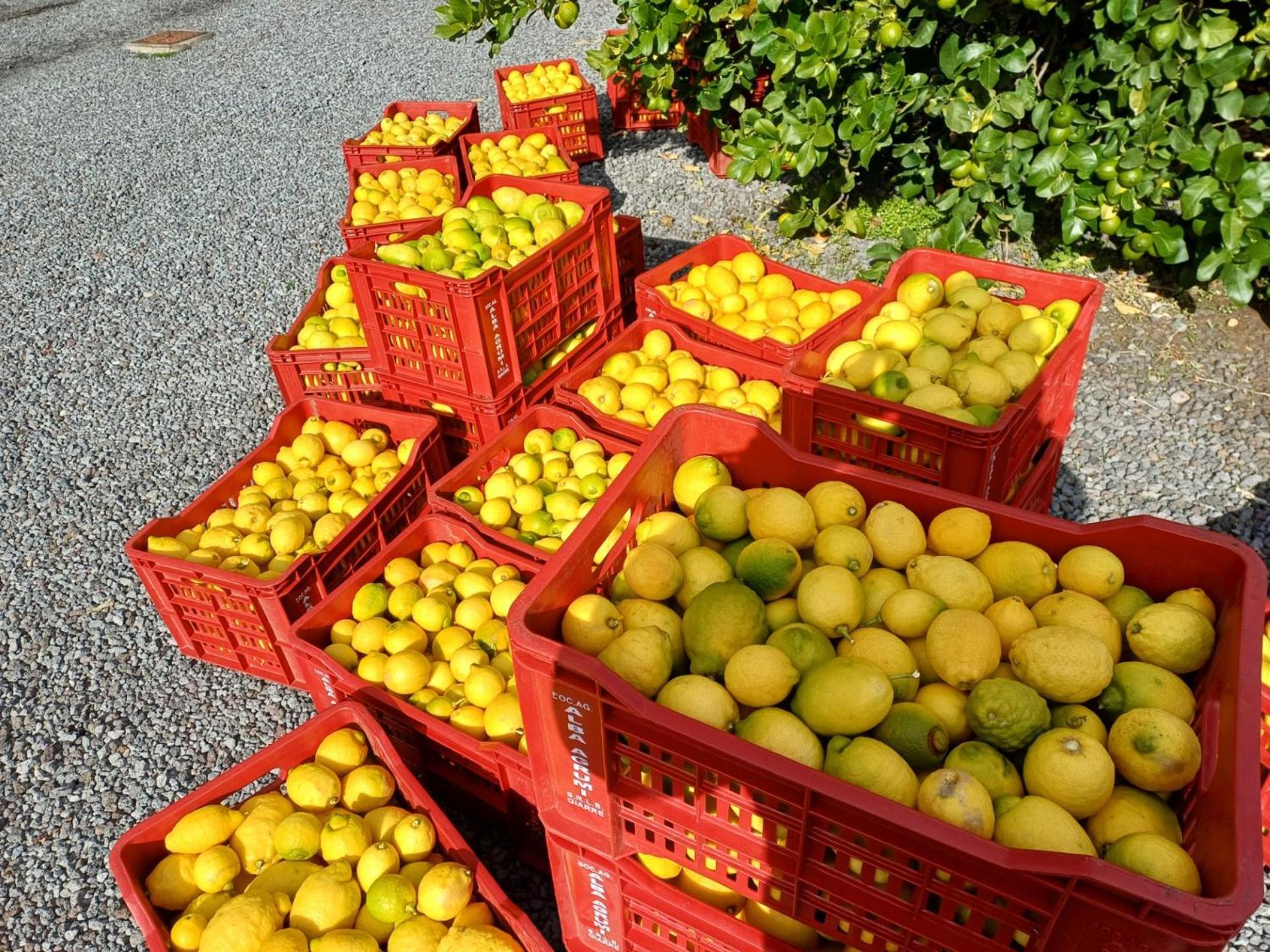 Profumo Di Zagara Acireale Villa Buitenkant foto